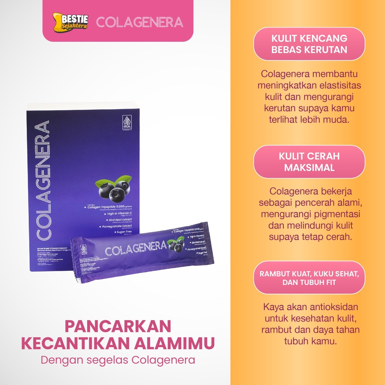 Warung Bestie Bundling 3 Box-COLAGENERA Serbuk  -Rasa Blueberi & krimer Tripeptide 5000mg- Paket 15 Hari - 15 Sct